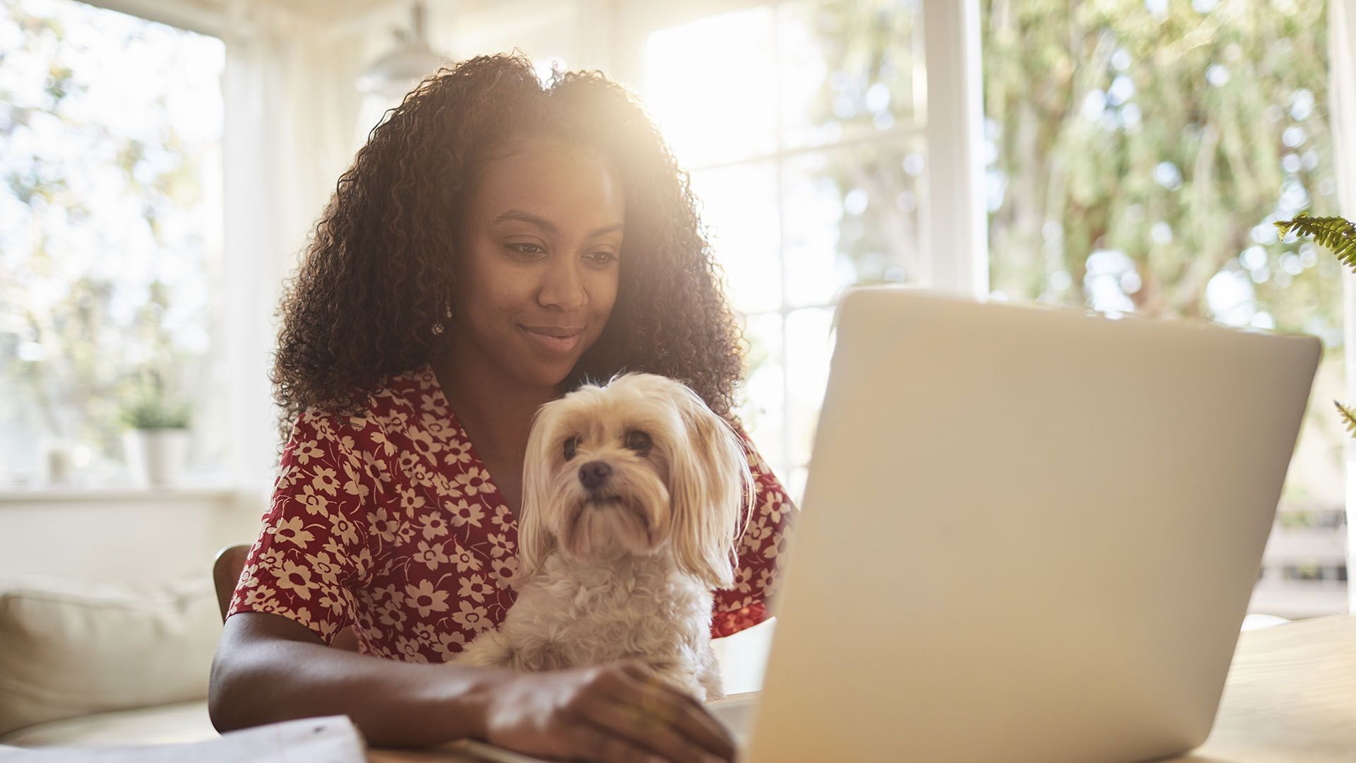 Case Studies: Benefits Decision Support