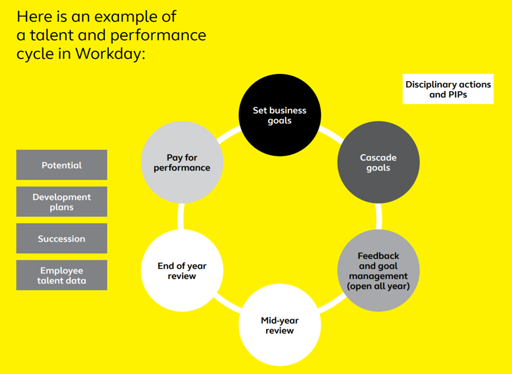 Here is an example of a talent and performance cycle in Workday
